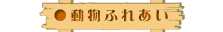 動物ふれあい